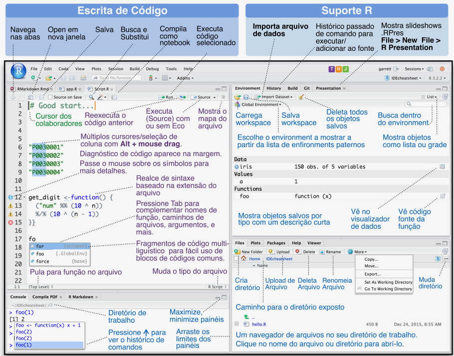 Detalhamento das funções